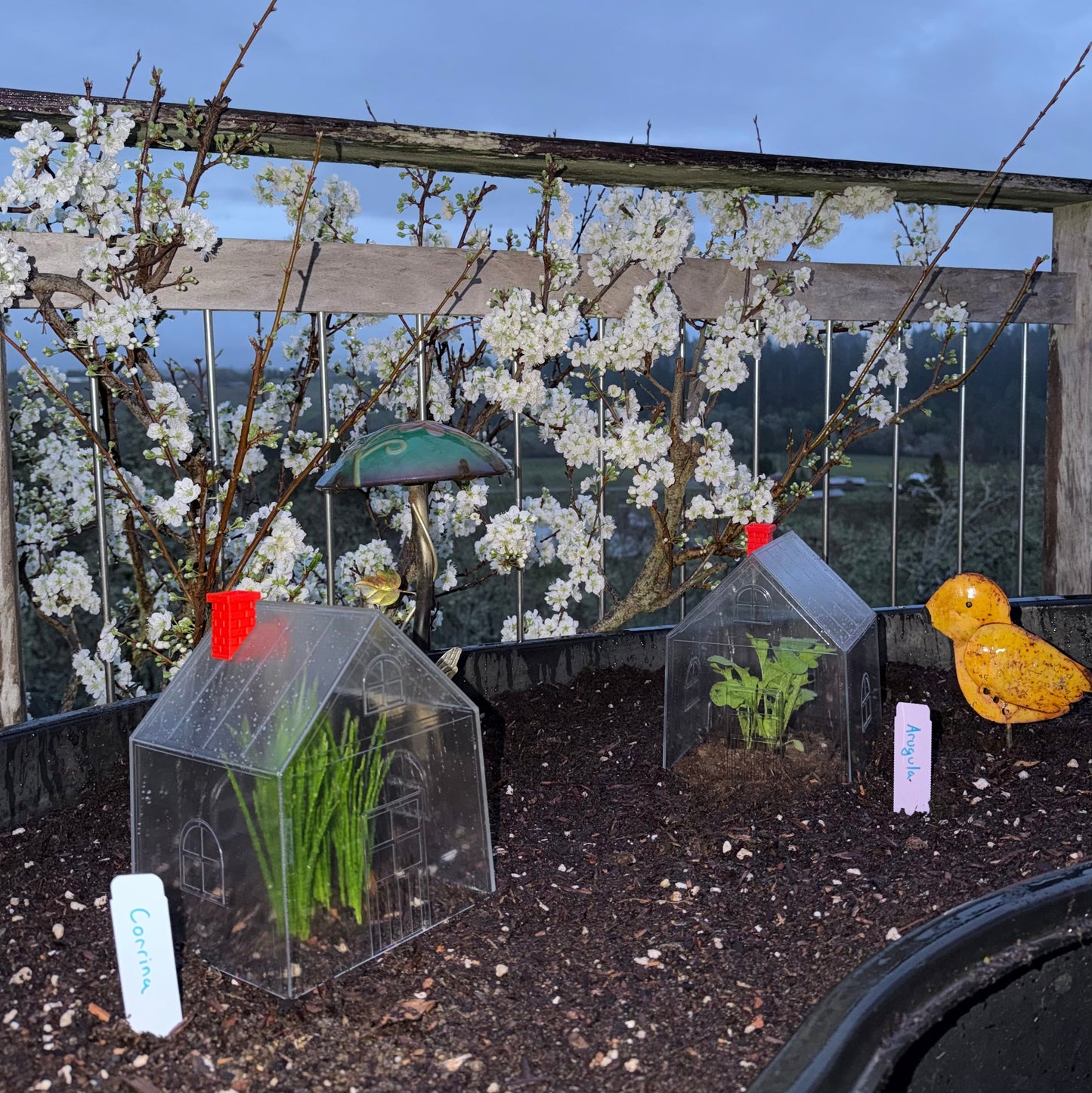 Sprouthouse- Mini Greenhouses