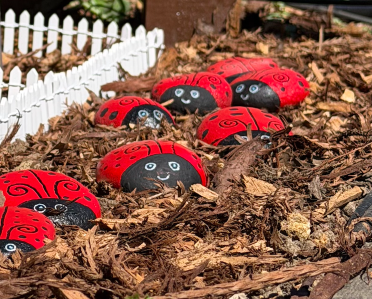 Lady Bug Add On