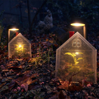 Mini Greenhouse- 3 Pack