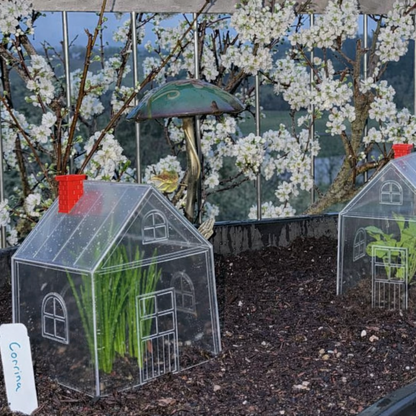 Mini Greenhouse